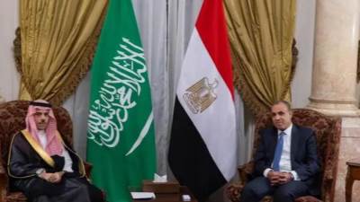 وزير الخارجية يلتقي بنظيرك الـمصري ويعقدان جلسة مباحثات رسمية