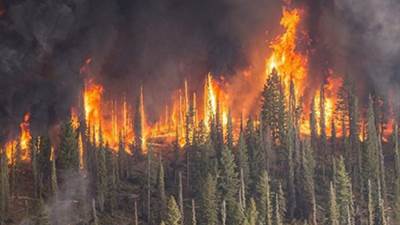 أمريكا: تواصل جهود احتواء حرائق الغابات المشتعلة بجنوب "كاليفورنيا"
