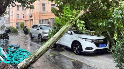 الصين تحذر من حدوث فيضانات عقب هبوط الإعصار "بيبينكا" إلى اليابسة