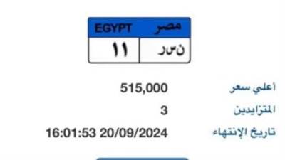 لوحة "نـ سـ ر- 11” المميزة تتخطى نصف مليون جنيه و3 أشخاص يزايدون عليها