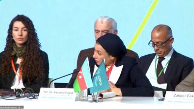 وزيرة البيئة تشارك في الجلسة الوزارية رفيعة المستوى حول الهدف الجمعي الكمي الجديد لتمويل المناخ