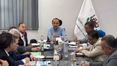 وزير قطاع الأعمال يستعرض مؤشرات أداء "القابضة الكيماوية" وموقف تنفيذ المشروعات