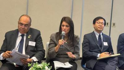 وزيرة التخطيط والتعاون الدولي تناقش مستقبل التنمية العالمية وتمويل المناخ