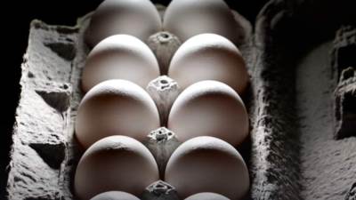 تغريم 4 من سماسرة البيض 20 مليون جنيه