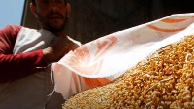 وزير التموين يكشف مصير شحنة قمح روسية متأخرة