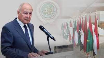 أبو الغيط يدين انتهاكات قوات الدعم السريع فى ولاية الجزيرة السودانية