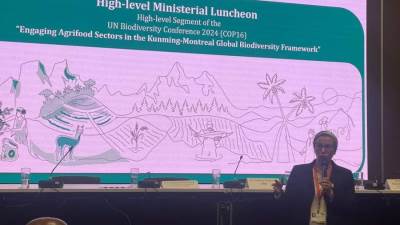 وزيرة البيئة: أهمية تطبيق الزراعة المستدامة من خلال بناء القدرات وتقليل المخاطر لصغار المزارعين