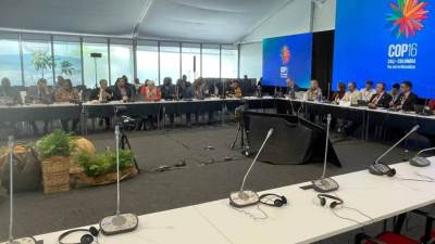 وزيرة البيئة تجتمع مع المجموعة الأفريقية لمناقشة توحيد الرؤى للخروج بقرارات منصفة للقارة