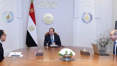 الرئيس السيسي يوجه باتخاذ التدابير اللازمة لتحفيز مشاركة القطاع الخاص في جهود تطوير قطاع الطيران