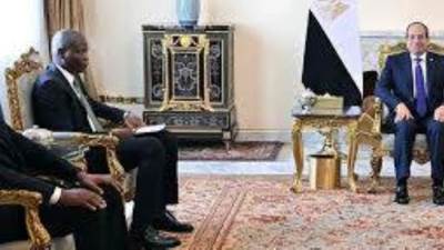 الرئيس السيسى يبحث مع وزير التعاون الدولى الجنوب أفريقى تعزيز التعاون وتوسيعه فى جميع المجالات