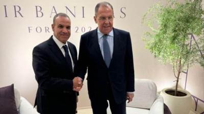 وزير الخارجية والهجرة يلتقي بنظيره الروسي