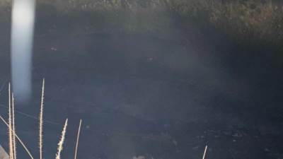 السيطرة على حريق محدود بمنطقة جنوب معابد الكرنك دون خسائر بشرية أو مادية