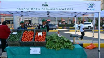 وزارة التموين: أسواق اليوم الواحد توفر السلع للمواطنين مباشرة دون وسطاء