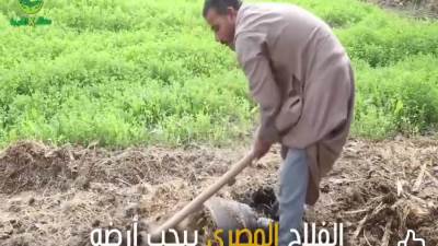 "معاك في الغيط".. تبدأ في توعية المزارعين بأهمية الحفاظ على الأرض الزراعية وخطورة التعدي عليها