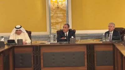 وزير الخارجية: مصر تخطو خطوات ثابتة وسريعة نحو تطوير الأداء الاقتصادي