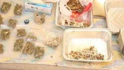 الداخلية: ضبط عنصر إجرامي شديد الخطورة وبحوزته كميات كبيرة من المخدرات المستحدثة