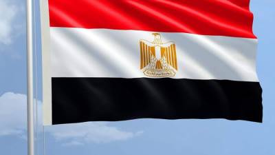 بعد غد.. مؤتمر القاهرة الوزاري لتعزيز الاستجابة الإنسانية في غزة ينعقد تحت رعاية الرئيس السيسي