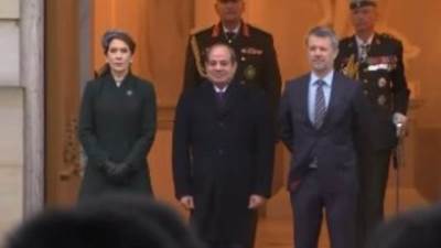 الرئيس السيسى وملك الدنمارك يشاركان فى منتدى الأعمال بكوبنهاجن