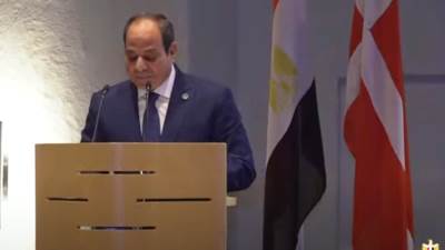 الرئيس السيسى يلتقى رئيس "شركاء كوبنهاجن للبنية التحتية"