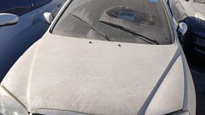 أكثر من 46 مليون جنيه حصيلة بيع سيارات وبضائع مهملة بجمارك بورسعيد