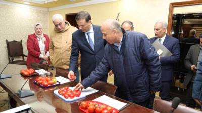 "الزراعة" تنجح في استنباط ٨ أصناف جديدة من تقاوي الطماطم