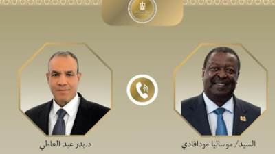 اتصال هاتفي بين وزير الخارجية والهجرة ونظيره الكيني