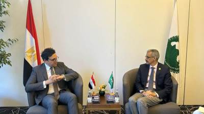 وزير الثقافة يلتقي المدير العام لمنظمة "الألكسو" ضمن مشاركته بالدورة 24 لمؤتمر الوزراء المسؤولين عن الشؤون الثقافية في الوطن العربي