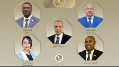 وزير الخارجية يؤكد لنظرائه الأفارقة أهمية التعاون فى مكافحة الإرهاب