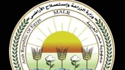 الزراعه: فتح باب استيراد كتاكيت التسمين والبياض والبيض المخصب كمدخلات إنتاج وبيض المائدة لضبط الأسعار