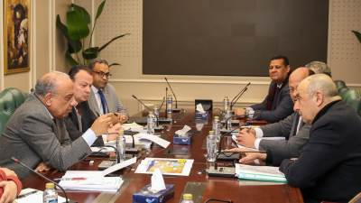 وزيرا الكهرباء وقطاع الأعمال يبحثان سبل التعاون في مجال الطاقة المتجددة والتحول الأخضر