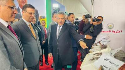 معرض "أهلًا رمضان 2025” طرح الأسماك بتخفيضات أكثر من ٣٠٪؜ وكيلو البلطي ب ٦٠ جنيه