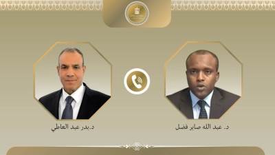 اتصال هاتفي بين وزير الخارجية ونظيره التشادي الجديد
