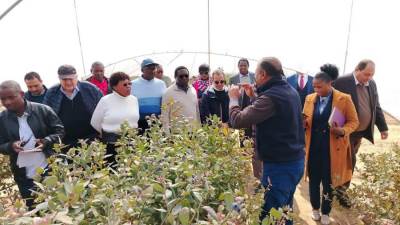وزيرا الثروة الحيوانية والري في زامبيا يتفقدان مزرعة تصدير الحاصلات البستانية بالنوبارية 