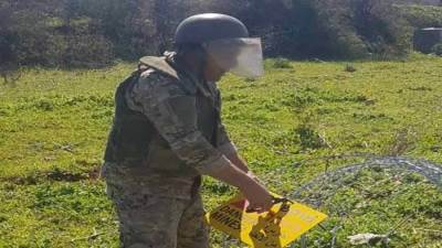 الجيش اللبناني يزيل شريطًا شائكًا أقامته إسرائيل في "بركة ريشا" جنوب البلاد