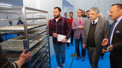أسامة ربيع يشهد التشغيل التجريبي لمصنع تعبئة وتغليف الأسماك والجمبري بشركة الاستزراع المائي