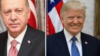 أول اتصال هاتفي بين أردوغان وترامب يتناول العلاقات الثنائية والوضع بأوكرانيا وسوريا