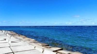 الطقس اليوم معتدل نهارا بارد ليلا وشبورة صباحا والعظمى بالقاهرة 22 درجة