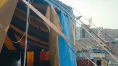 إزالة سيرك طنطا بعد واقعة تعدى نمر على عامل في الغربية