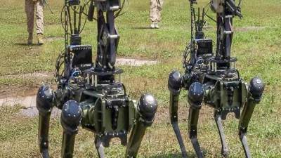 الأمم المتحدة تدعو إلى إبطاء سباق الذكاء الاصطناعي في مجال التسلح