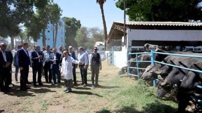 رئيس الوزراء يتفقد محطة الثروة الحيوانية بقرية "الحمام" بمركز أبنوب