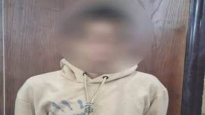 الداخلية تكشف ملابسات فيديو لتعدي شخص على دابة بالجيزة وتشاجر سيدة أجنبية معه