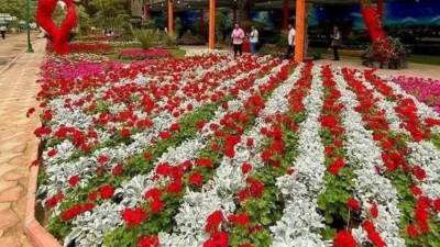 شم النسيم وعيد الربيع.. تاريخ طويل من الاحتفالات يمتد على مدار آلاف السنين