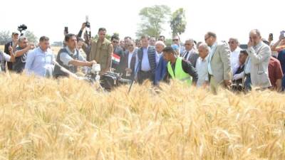 وزير الزراعة يفتتح موسم حصاد القمح بمحافظة الشرقية