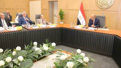 بدء إجراءات إعادة هيكلة "القابضة للكهرباء" وفصل "المصرية" عنها