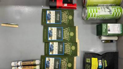 جمارك مطار الغردقة الدولى تضبط محاولتي تهريب كمية من المواد المخدرة