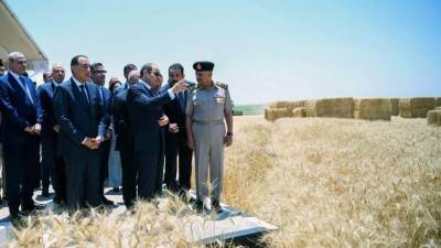 بالصور .. الرئيس السيسي يشهد افتتاح موسم حصاد القمح 