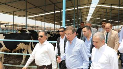 "الزراعة" و"الشرقية" "البنك الزراعي" يطلقون المرحلة الثانية لمبادرة "احلم" لدعم صغار المربين