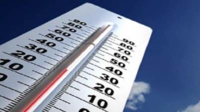 الأرصاد: طقس ربيعي مائل للحرارة غدًا وتحذيرات من شبورة ورياح محملة بالأتربة