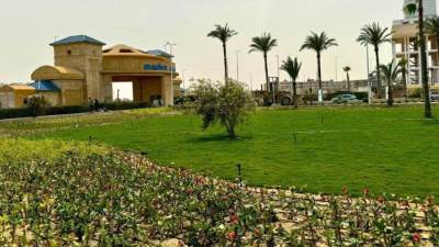 استكمال رفع كفاءة وتجميل المسطحات الخضراء بالمحاور الرئيسية والمداخل بمارينا