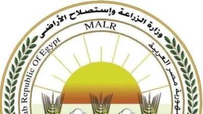 "الزراعة": المجازر الحكومية تستقبل أكثر من 9800 أضحية خلال أول أيام العيد